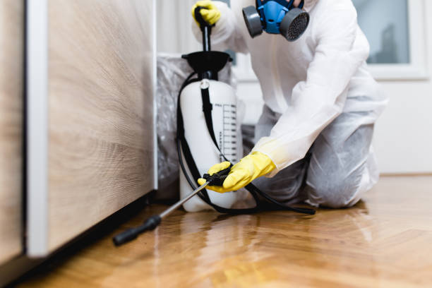 Best Emergency Pest Control  in Balcones Heights, TX