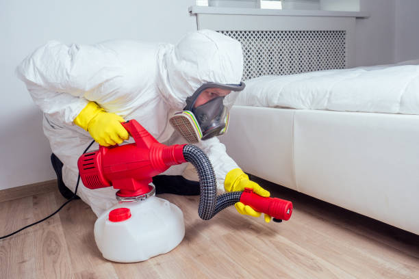 Best Commercial Pest Control Services  in Balcones Heights, TX