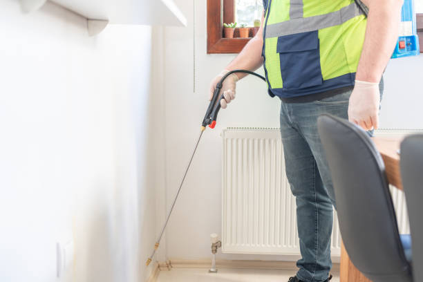 Best Cockroach Control Services  in Balcones Heights, TX