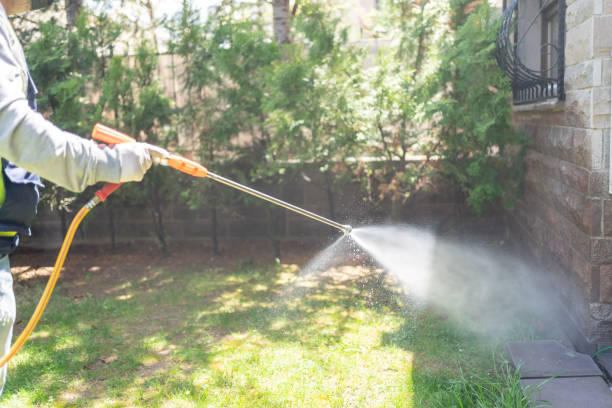 Best Commercial Pest Control Services  in Balcones Heights, TX