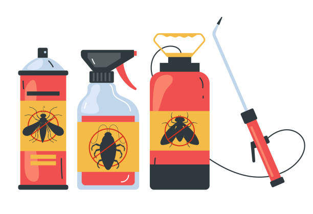 Best Wasp Removal Services  in Balcones Heights, TX