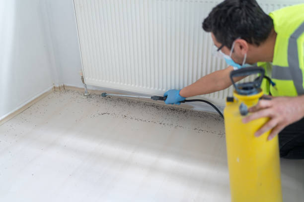 Balcones Heights, TX Pest Control Company